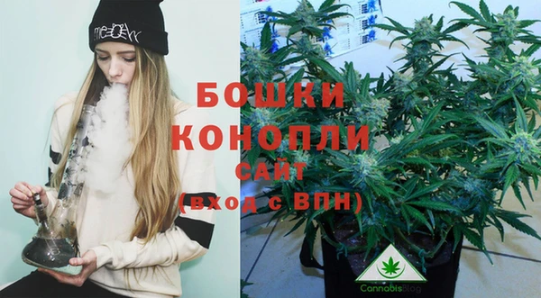 гашик Краснослободск