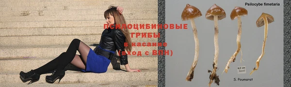 гашик Краснослободск