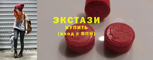 гашик Краснослободск