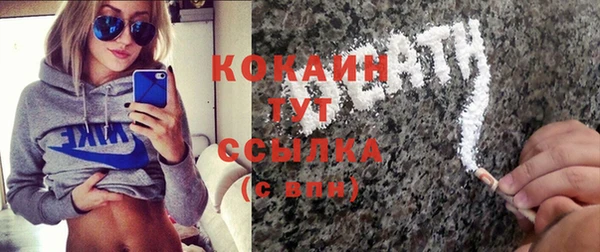 гашик Краснослободск