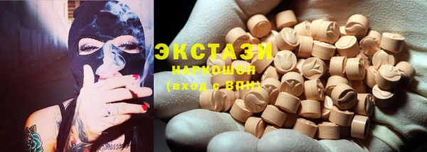 гашик Краснослободск