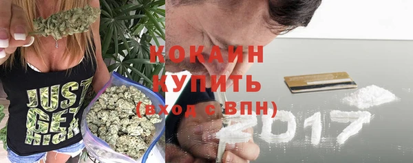 гашик Краснослободск