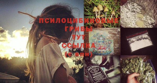 гашик Краснослободск